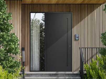 Portes d'entrée ANAF